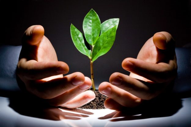 Venture Capital Startups